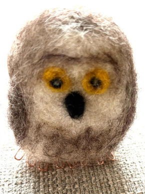 Owl Owl