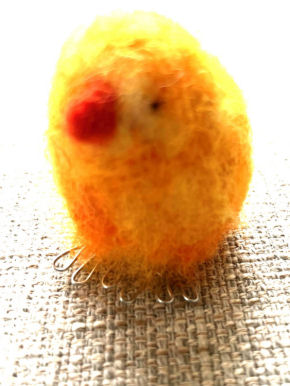 Chicken Chicken
